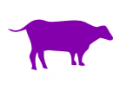 Purplecow.png